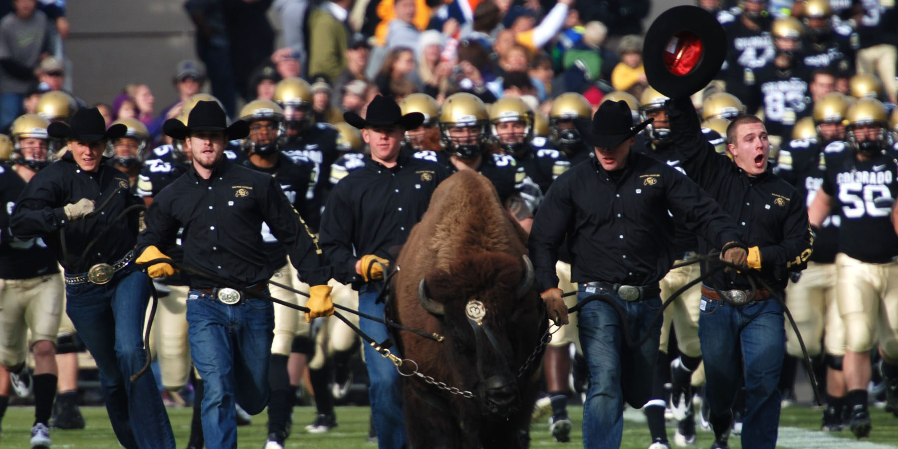 Colorado Buffaloes 2016 Depth Chart Projection